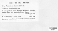 Puccinia subcircinata image